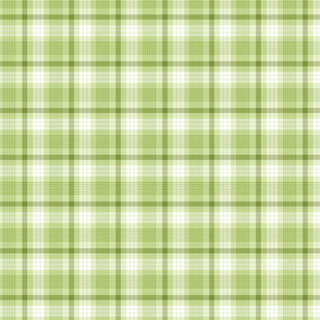 Green Spring Plaid