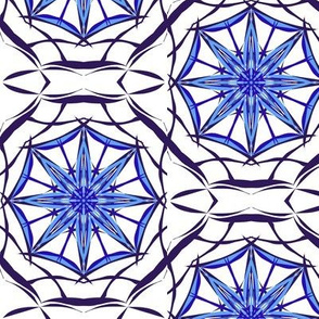 Blue Star Webs on White