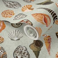 seashells // shell shells beach summer mint ocean water sea nautical shell  - neutral