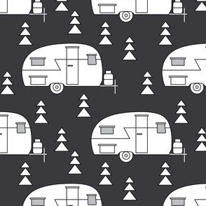 white camper trailers on black