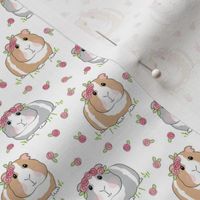 tiny guinea-pigs-with-roses-on-white