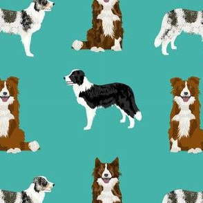border collie mixed basic dog breed pattern border collies fabric turquoise