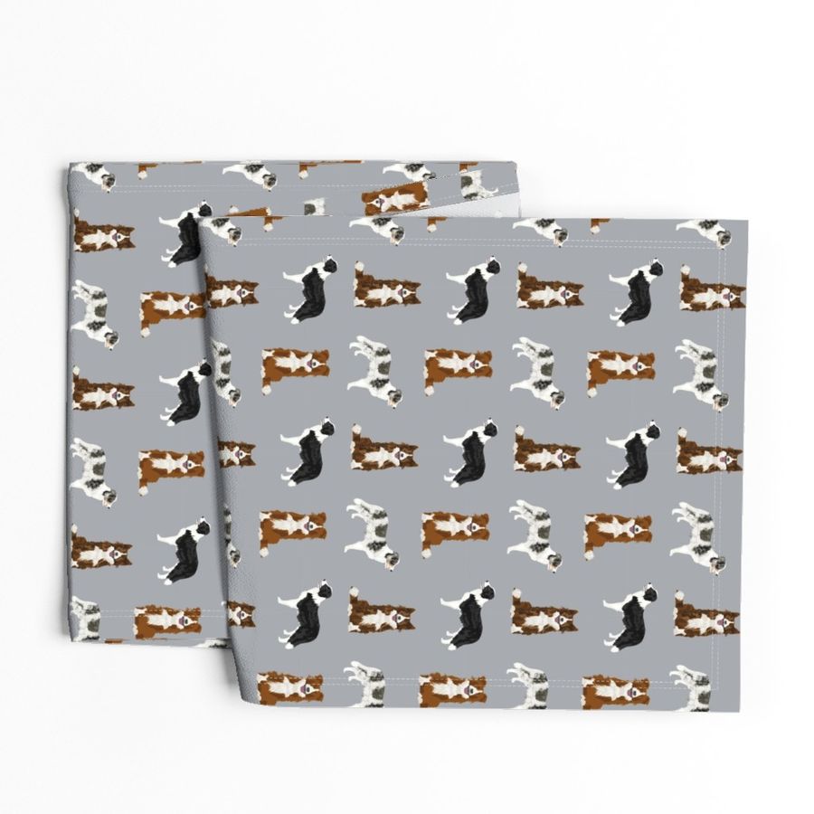 border collie mixed basic dog breed pattern border collies fabric grey