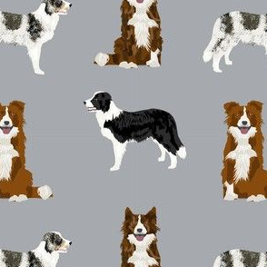 border collie mixed basic dog breed pattern border collies fabric grey