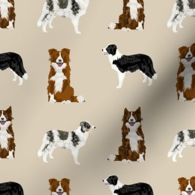 border collie mixed basic dog breed pattern border collies fabric tan