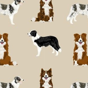 border collie mixed basic dog breed pattern border collies fabric tan