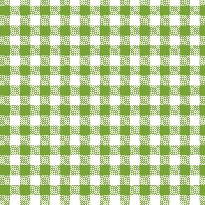 Green and White Gingham