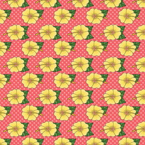 Yellow Hibiscus Flowers on Pink