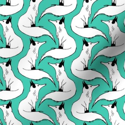 Arctic Foxes on Teal