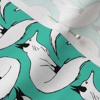 Arctic Foxes on Teal