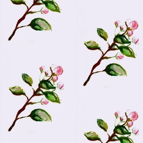 Rose Buds