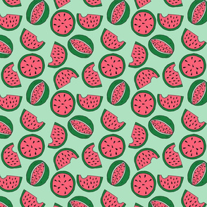 Ditzy Watermelons on Green - Large