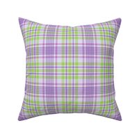 Purple and Green Spring Plaid