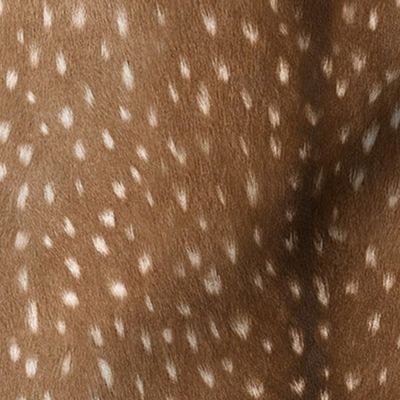 Deer Hide // Medium