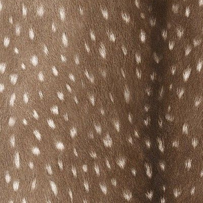 Plush Deer Hide // Medium