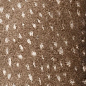 Animal Hide Fabric, Wallpaper and Home Decor | Spoonflower