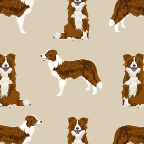 border collie simple dog breed fabric for pet lovers tan