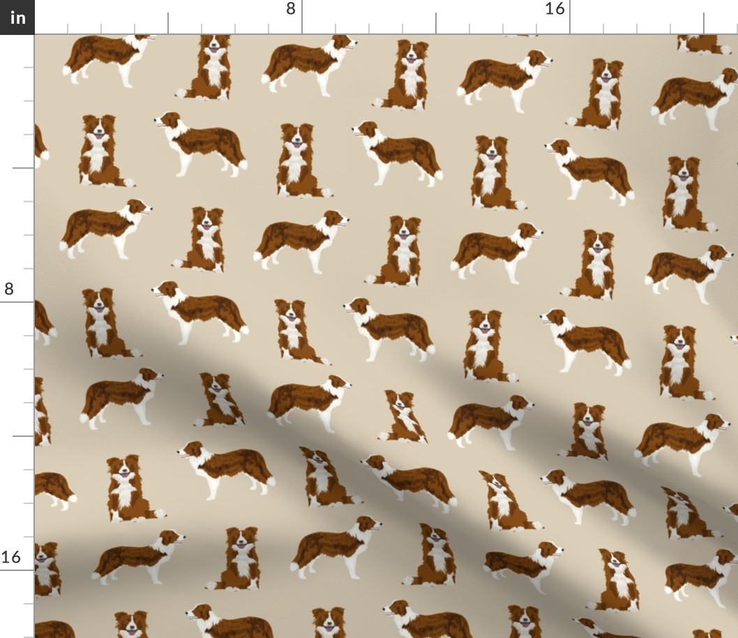 border collie simple dog breed fabric for pet lovers tan