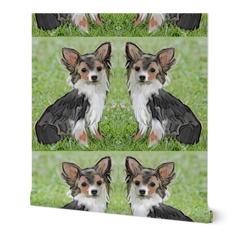 Chihuahua fabric