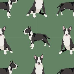 bull terrier black and white coat dog breed fabric simple green