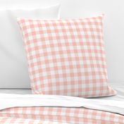 Plain Gingham in Peachy Pink