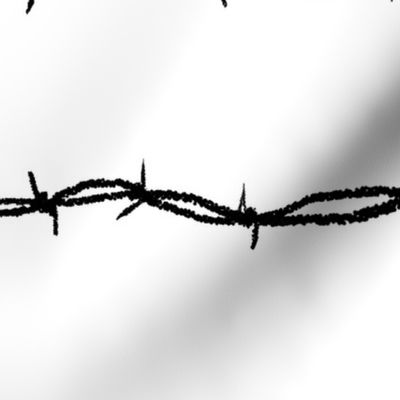 barbwire horizontal white