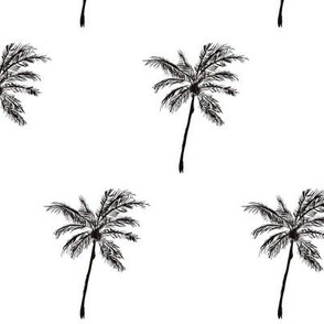 Take Me to the Tropics / palm trees / sketch illustration tropical
