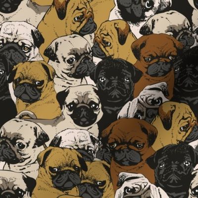 Social Pugs