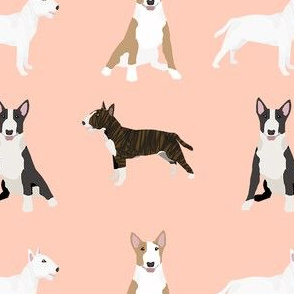 bull terrier mixed coat colors simple terriers dog breed fabric green