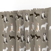 bull terrier mixed coat colors simple terriers dog breed fabric medium 