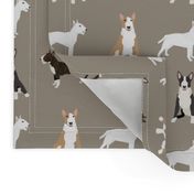 bull terrier mixed coat colors simple terriers dog breed fabric medium 