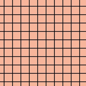 Square Grid - Coral Black