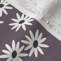 Daisies - purple violet