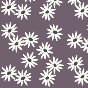 Daisies - purple violet