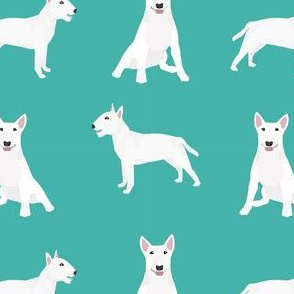 bull terrier white coat simple dog breed fabric turquoise 