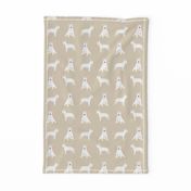 bull terrier white coat simple dog breed fabric tan