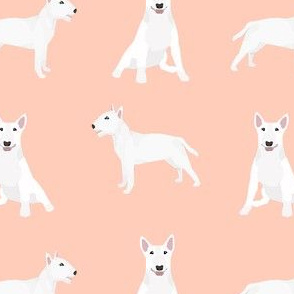 bull terrier white coat simple dog breed fabric peach