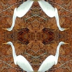 Autumn Egret
