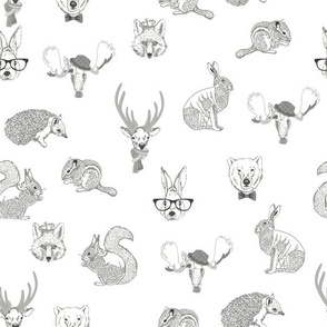 Woodland Animals