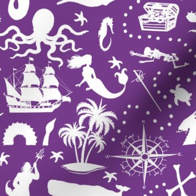 High Seas Adventure // Purple