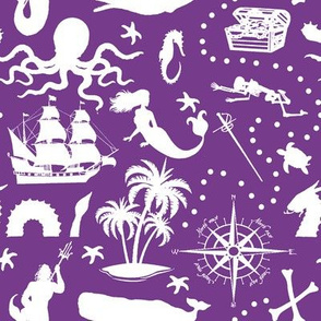 High Seas Adventure // Purple