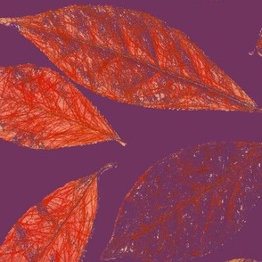real leaves scattered  in red, orange, textured, on purple