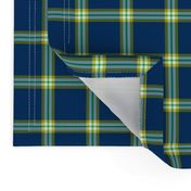 Mark Scot Plaid ©Julee Wood