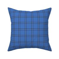 Blue Scot Plaid ©Julee Wood