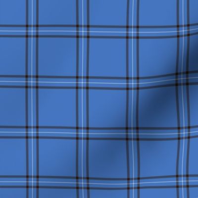 Blue Scot Plaid ©Julee Wood