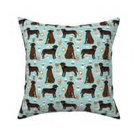 Labrador fabric - chocolate labradors and coffee fabric - light blue