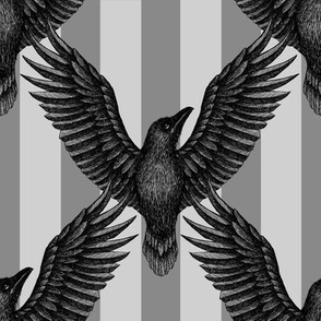 Raven - striped