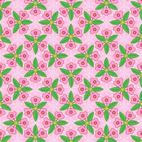 efflorescence in pink