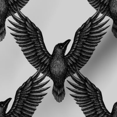 Raven - silver