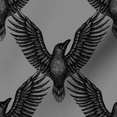 Raven - gray
